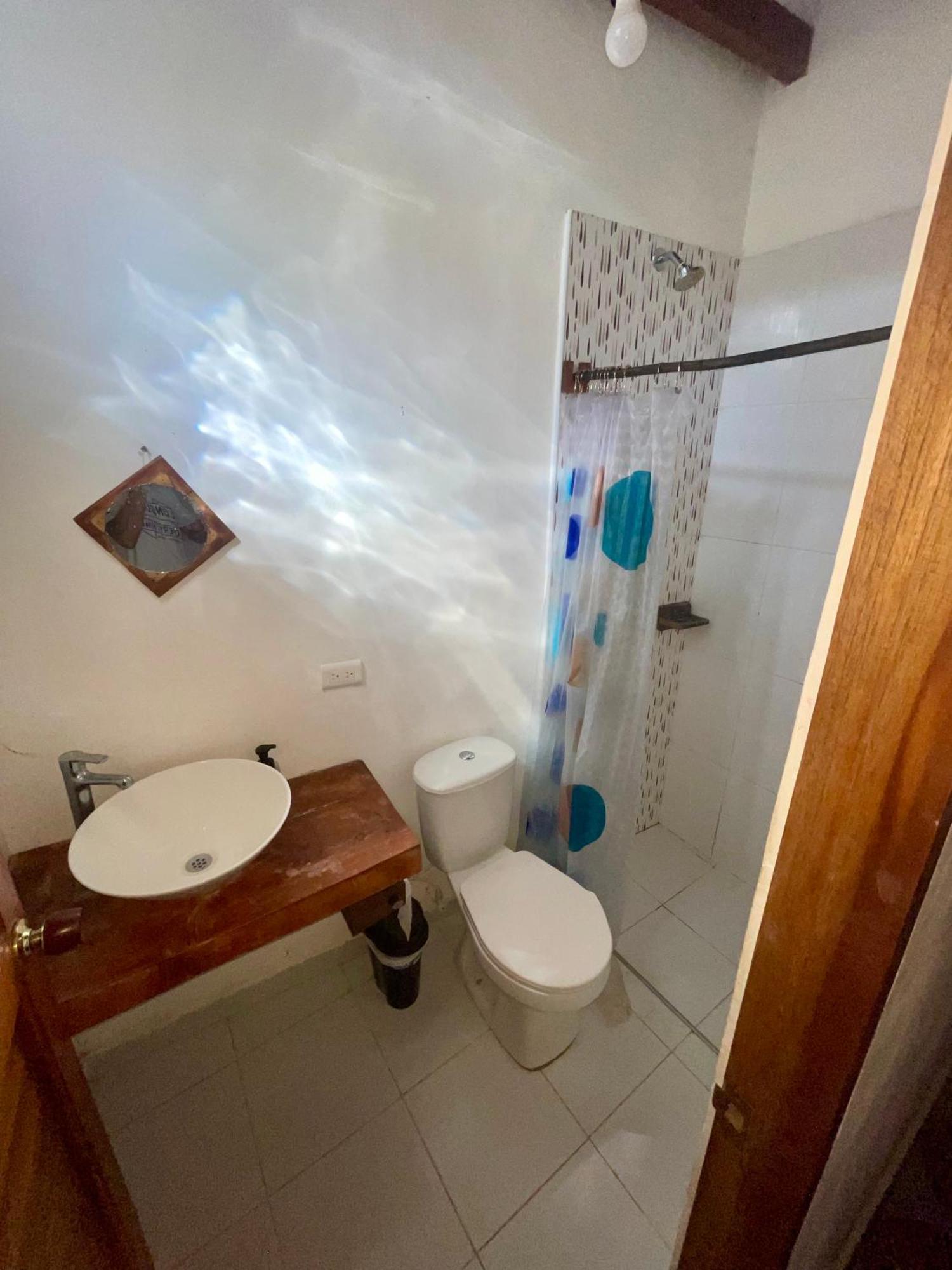 Casa Palum Private Room Private Bathroom Palomino Esterno foto